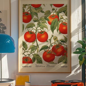 Pu&ograve; includere: Una stampa incorniciata con un'illustrazione botanica di pomodori rossi maturi su viti con foglie verdi. La stampa &egrave; intitolata "William Morris" e "Tomatoes" con il testo "Exhibition 1963".