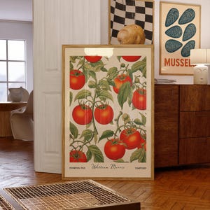 Pu&ograve; includere: Una stampa incorniciata con un'illustrazione botanica di pomodori rossi maturi su viti, con foglie verdi su sfondo crema. La stampa &egrave; intitolata "William Morris" e "Tomatoes". Altre opere d'arte incorniciate sono visibili sullo sfondo.