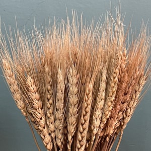 100 stem wheat/natural wheat/wheat bouquet/wedding home decoration image 6