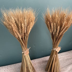 100 stem wheat/natural wheat/wheat bouquet/wedding home decoration image 3