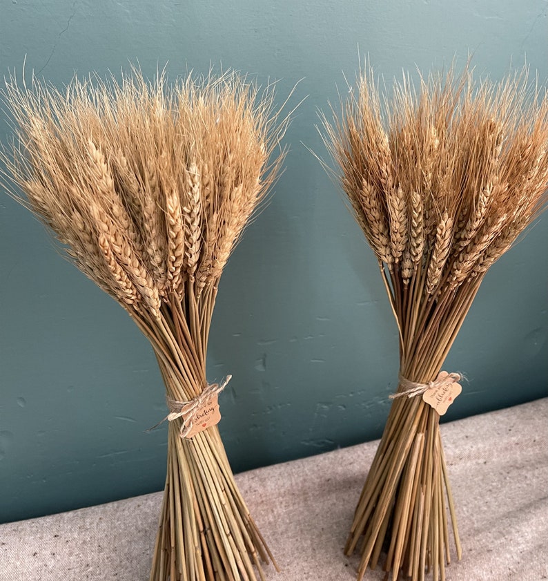 100 stem wheat/natural wheat/wheat bouquet/wedding home decoration image 3