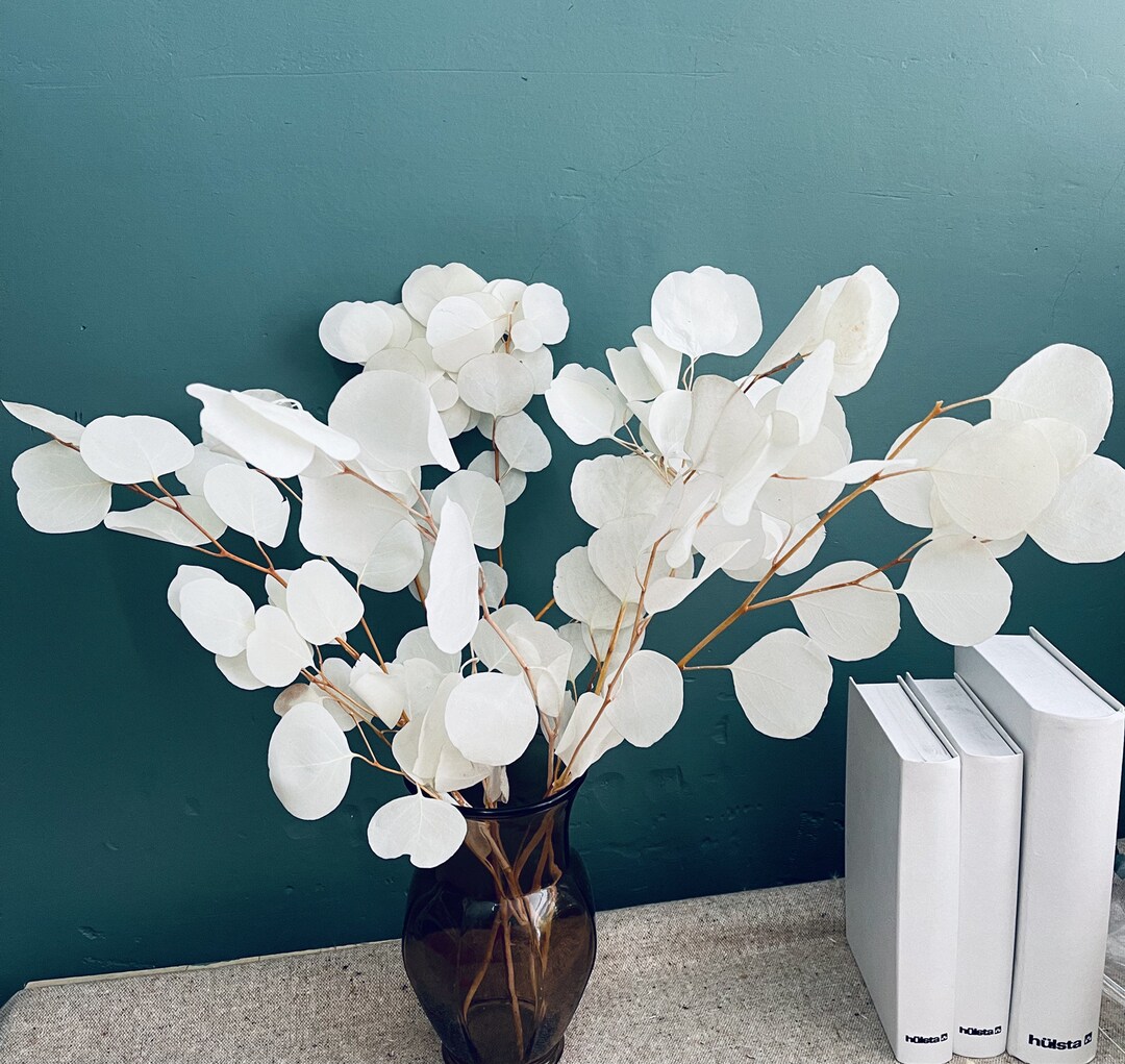 High Quality White Eucalyptus Leaves, White Leaves, Immortal Apple