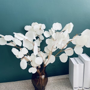 Foglie di eucalipto bianco di alta qualità, foglie bianche, foglie di melo immortale, fiori decorativi da interno 5-6 steli