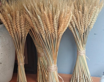 Bouquet de blé, blé de couleur naturelle, décoration de mariage rustique, décoration de maison