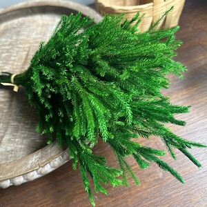 May include: A bunch of green artificial pine sprigs, perfect for adding a touch of greenery to your home decor.