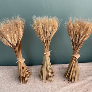 100 stem wheat/natural wheat/wheat bouquet/wedding home decoration image 4