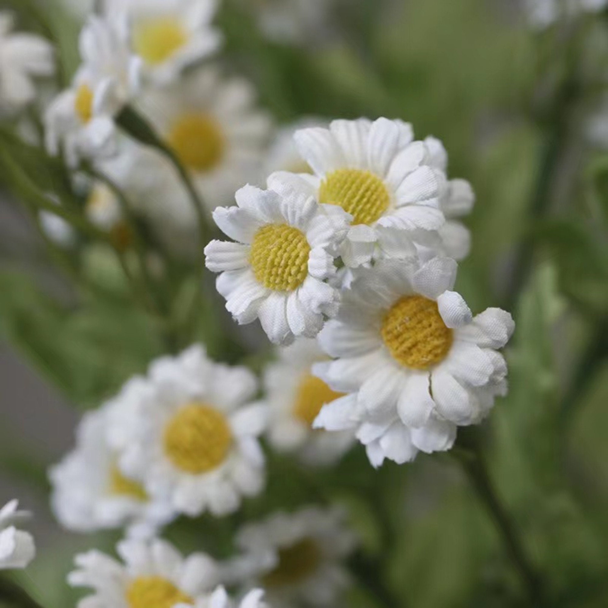 30 Chamomile/silk Artificial Flowers/household Items/wedding ...