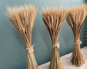 100 stem wheat/natural wheat/wheat bouquet/wedding home decoration