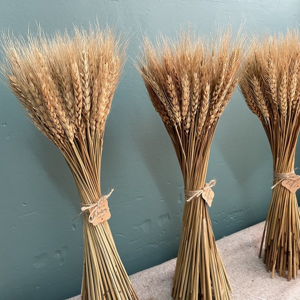 100 stem wheat/natural wheat/wheat bouquet/wedding home decoration