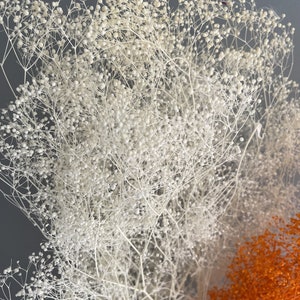 High quality orange dried flowers/white million star dried flowers/mini dried flowers