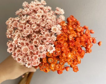 High quality orange dried flowers/pink small dried flowers/star flowers/mini dried flowers