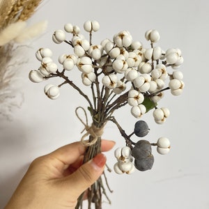 Small ginkgo,Natural white small fruit, dried tallow berry bouquet, dried flower bouquet, DIY material, home decoration (15-50 stems)