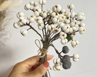 Small ginkgo,Natural white small fruit, dried tallow berry bouquet, dried flower bouquet, DIY material, home decoration (15-50 stems)