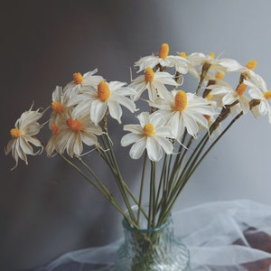 High quality white dried flowers handmade sticky flowers/Wenxin Orchid/multi-colored dried flowers