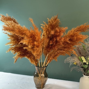 Op de afbeelding: Een boeket gedroogd pampasgras in een heldere glazen vaas. Het gras is warm, lichtbruin van kleur en is in een losse, natuurlijke stijl gerangschikt. De vaas staat op een witte tafel.