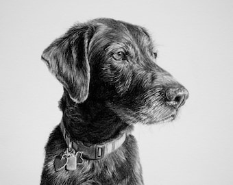 Custom Pet Portrait, Pet Memorial, Gifts, Dogs, Dog Drawing, Charcoal Drawing, Pet Sketch, Pet Loss, Wall Art, Wall Decor, Bespoke Portrait