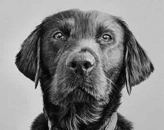 Custom Pet Portrait, Pet Memorial, Gifts, Dogs, Dog Drawing, Charcoal Drawing, Pet Sketch, Pet Loss, Wall Art, Wall Decor, Bespoke Portrait