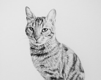 Custom Pet Portrait, Cats, Cat Drawing, Pet Memorial, Gifts, Charcoal Drawing, Pet Sketch, Pet Loss, Wall Art, Wall Decor, Bespoke Portrait