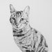 see more listings in the Cat Portraits section