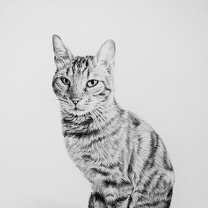カスタムペットポートレート、猫、猫の絵、ペットの追悼、ギフト、木炭画、ペットのスケッチ、ペットの死、壁アート、壁の装飾、特注ポートレート