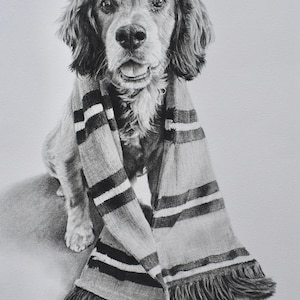Custom Pet Portrait, Pet Memorial, Gifts, Dogs, Dog Drawing, Charcoal Drawing, Pet Sketch, Pet Loss, Wall Art, Wall Decor, Bespoke Portrait zdjęcie 9