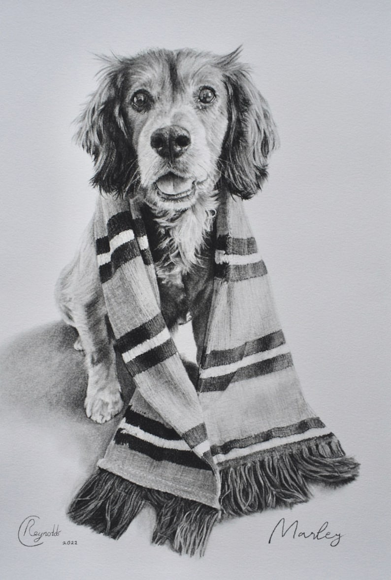 Custom Pet Portrait, Pet Memorial, Gifts, Dogs, Dog Drawing, Charcoal Drawing, Pet Sketch, Pet Loss, Wall Art, Wall Decor, Bespoke Portrait image 9