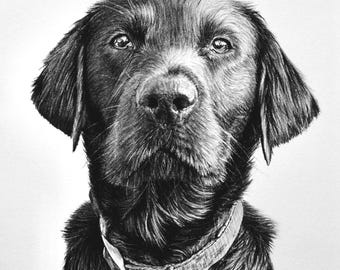 Retrato conmemorativo de perro a partir de una foto, retrato de perro personalizado dibujado a mano con carboncillo, regalo conmemorativo personalizado para mascotas