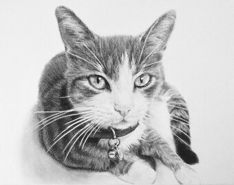 Custom Pet Portrait, Cats, Cat Drawing, Pet Memorial, Gifts, Charcoal Drawing, Pet Sketch, Pet Loss, Wall Art, Wall Decor, Bespoke Portrait