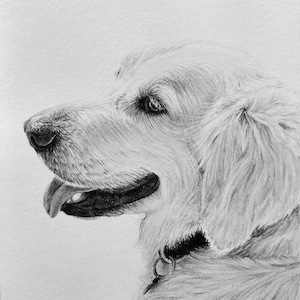 Custom Pet Portrait, Pet Memorial, Gifts, Dogs, Dog Drawing, Charcoal Drawing, Pet Sketch, Pet Loss, Wall Art, Wall Decor, Bespoke Portrait zdjęcie 2