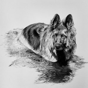 Custom Pet Portrait, Pet Memorial, Gifts, Dogs, Dog Drawing, Charcoal Drawing, Pet Sketch, Pet Loss, Wall Art, Wall Decor, Bespoke Portrait image 4