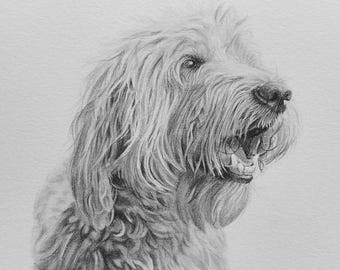 Goldendoodle Portrait from Photo, Custom Hand Drawn Charcoal Dog Portrait, Personalized Pet Portrait Gift