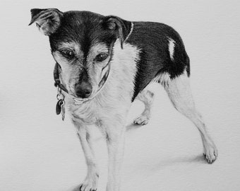 Custom Pet Portrait, Pet Memorial, Gifts, Dogs, Dog Drawing, Charcoal Drawing, Pet Sketch, Pet Loss, Wall Art, Wall Decor, Bespoke Portrait