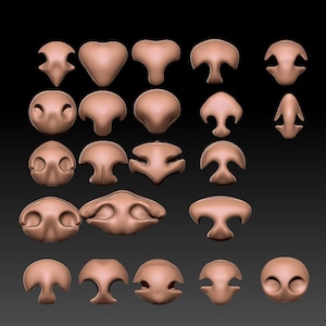 May include: A set of 24 different 3D printed nose shapes, ideal for sculpting and modeling. The noses are made of a light brown plastic and are arranged in rows.
