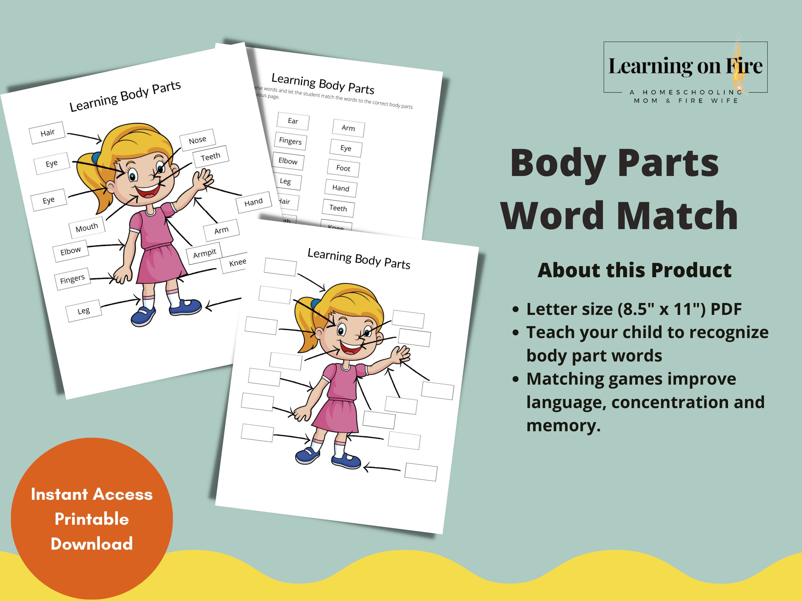 Preschool Activity Worksheet Preschool Anatomy, Body Parts Worksheet ...