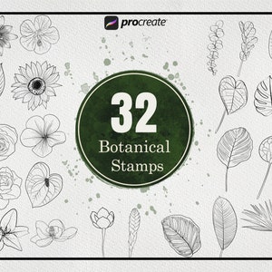 Procreate Botanical Stamp Brushes | Floral Stamp | Plant Stamps | Leaves Stamp | stamp brushes for procreate