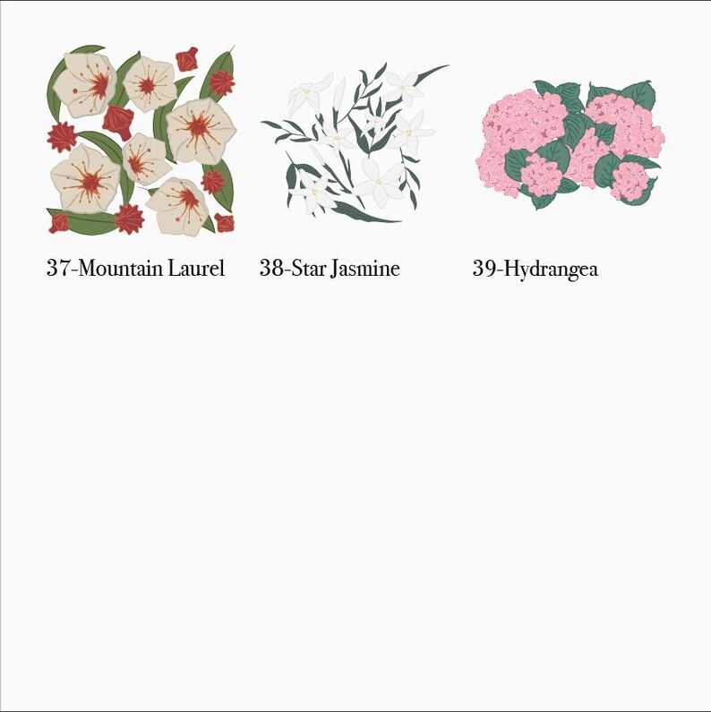 May include: An illustration of three floral arrangements. The first shows cream-coloured flowers with red centres and accents, labelled "37-Mountain Laurel." The second shows white star jasmine, labelled "38-Star Jasmine." The third depicts pink hydrangeas, labelled "39-Hydrangea."