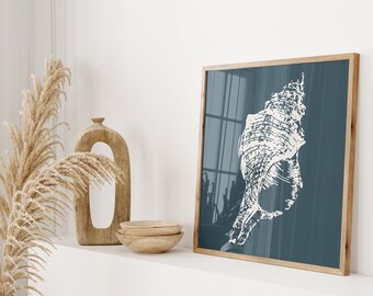 May include: A framed print of a white seashell on a dark blue background. The seashell is a large, intricate spiral shape.