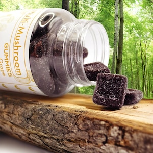 Multi Mushroom Grape Gummy Vitamins