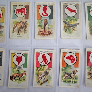 Boy Scout & Girl Guide Patrol Signs and Emblems Series (ca1933). Full set of 50 Player&#39;s Cigarette Cards.