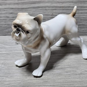 Puede incluir: Una figurita de porcelana blanca de un bulldog con marcas marrones. La figurita está de pie sobre sus cuatro patas con la cabeza inclinada hacia un lado.