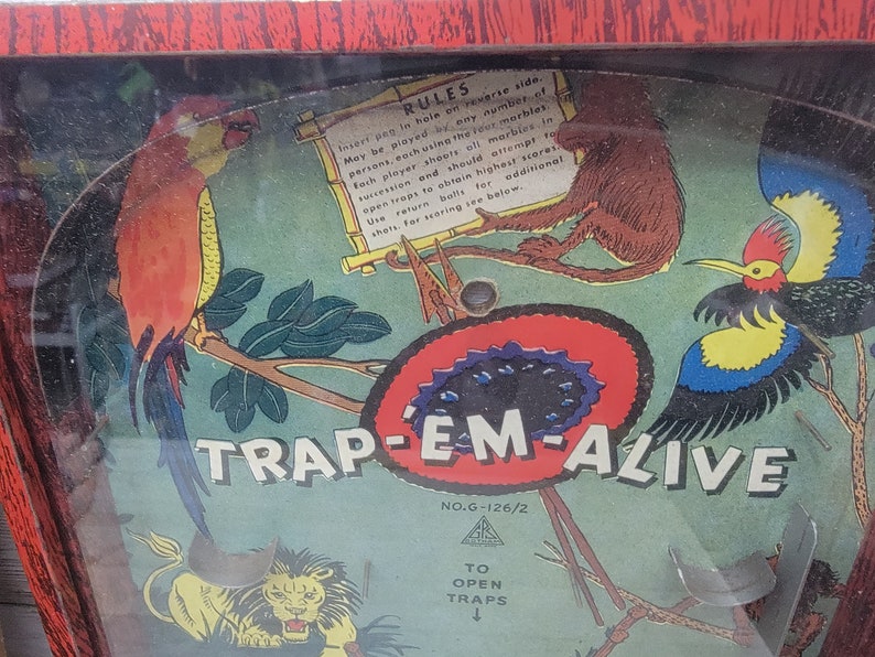 1936 Gotham Pressed Steel Trap-Em-Alive Tisch Top Flipper Spiel mit Original Box Bild 5