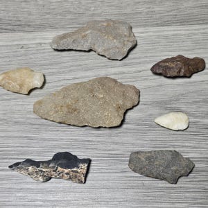 May include: A collection of seven stone arrowheads and projectile points in various shapes and sizes. The pieces feature diverse textures and colors, including shades of gray, tan, brown, white, and a dark black and tan mottled stone.