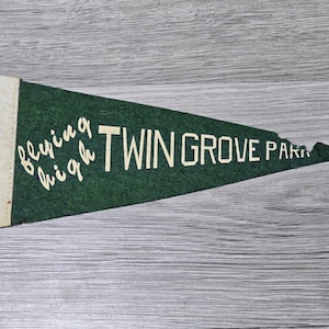 Vintage Flying High Twin Grove Park Mini Felt Pennant Amusement Park Pine Grove