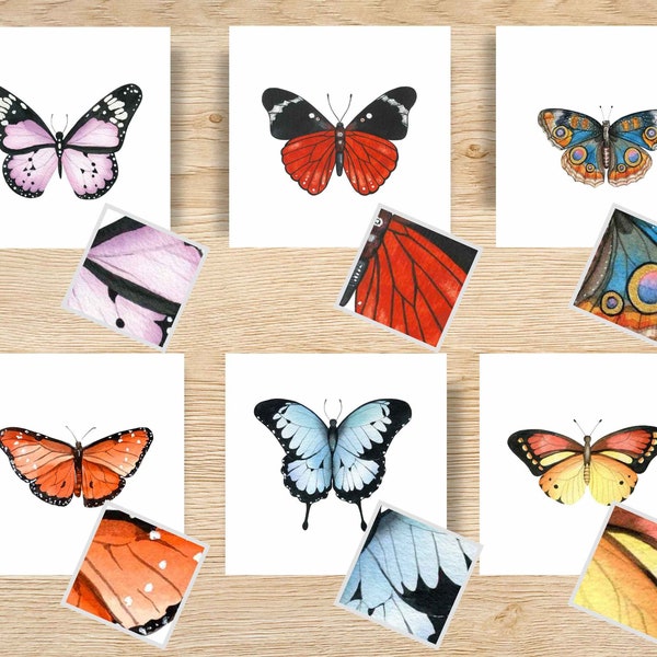 Butterfly Pattern Matching Cards, Montessori Insects, Nature Study Cards, Animal Patterns Study, Butterfly Printables