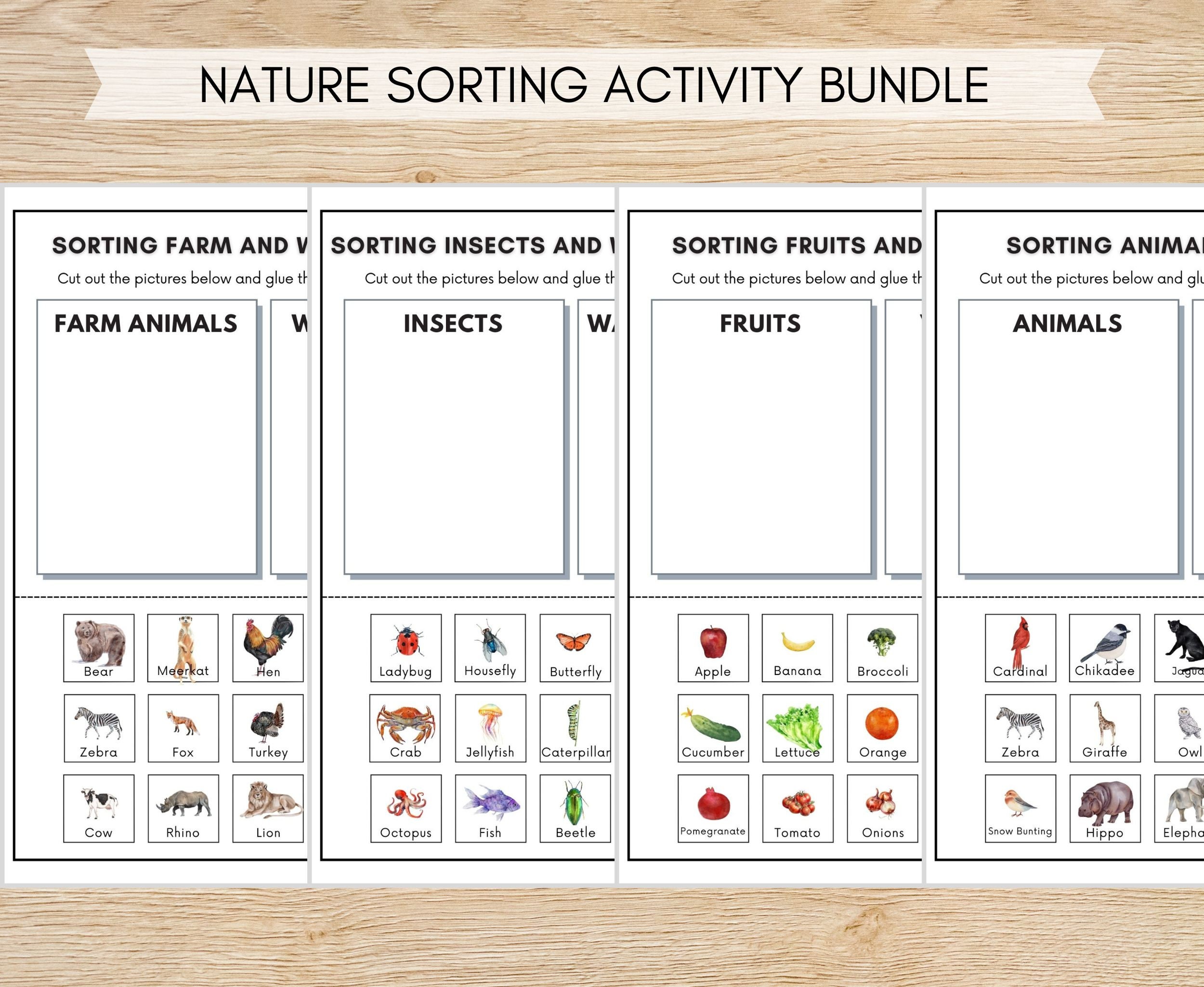 Nature Sorting Activity Printables Montessori Nature Unit Etsy