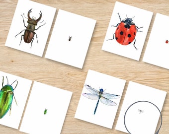 Actividad de coincidencia de aumento de insectos, Actividad de invierno de jardín de infantes, Niño pequeño, Preescolar, Páginas de libros ocupadas, Hojas de trabajo para niños, Imprimible