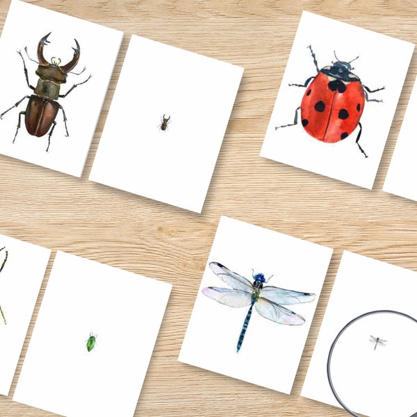 Insect Magnifying Match Activity, Kindergarten Winter Activity, Toddler, Preschool, Busy Book Pages, Worksheets for Kids, Printable