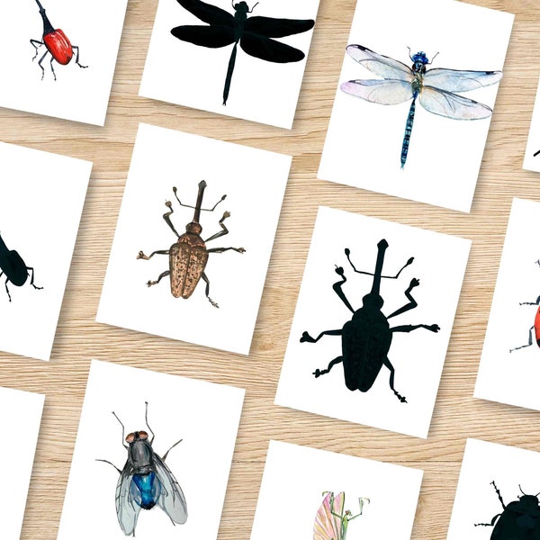 Schaduwkaarten met insectenthema, schaduwkaarten voor de kleuterschool, thuisschoolactiviteiten, peuterpuzzel, matchspel