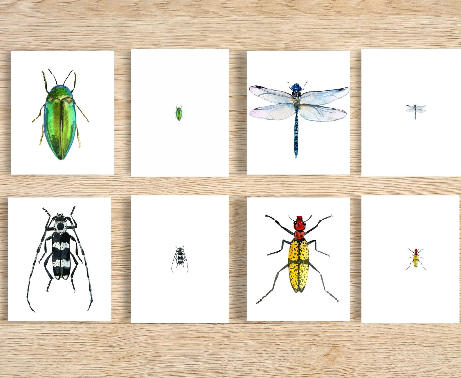 Match Insect Printable Insect Magnifying Match Activity, Kindergarten Winter Activity, Toddler ...