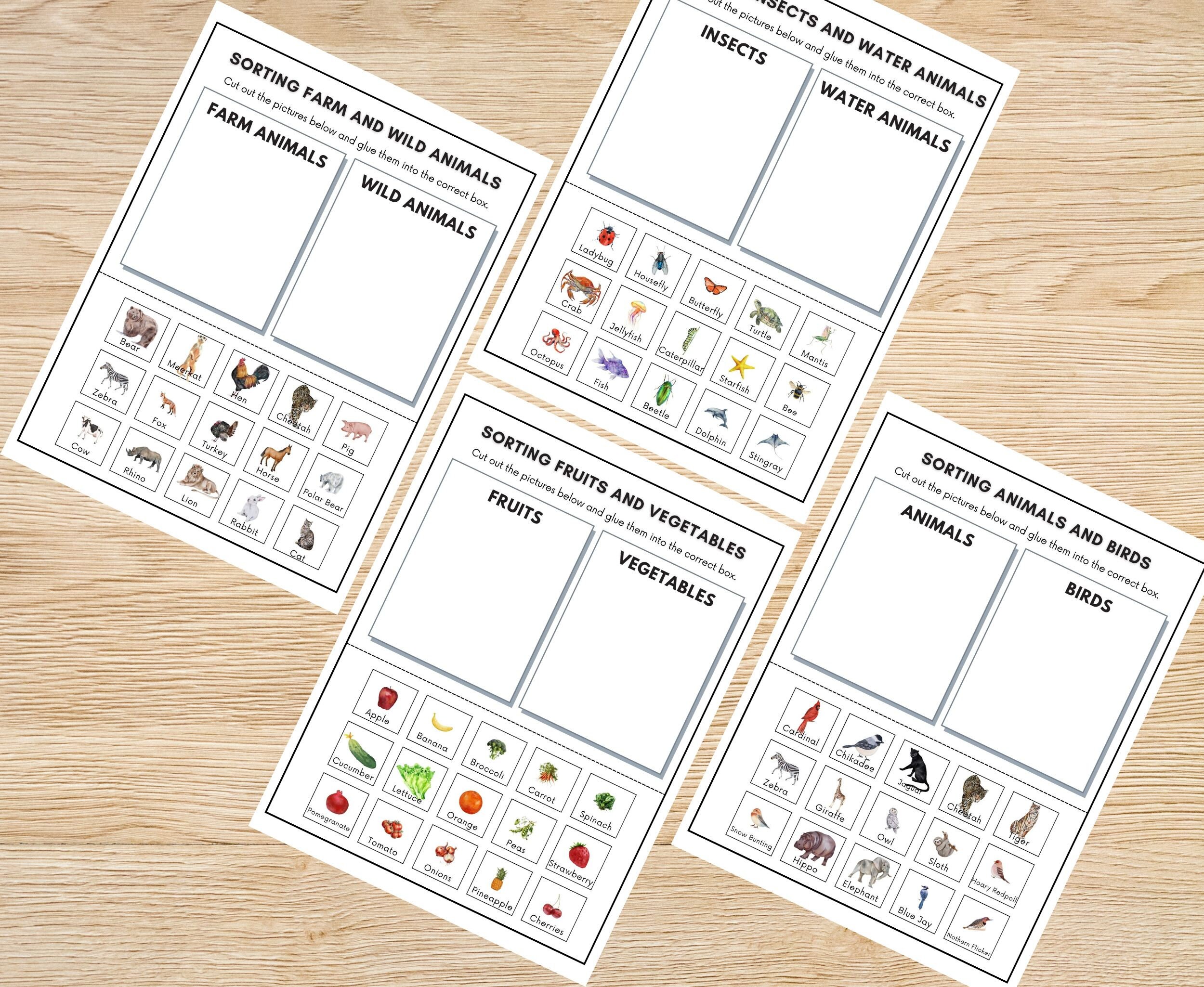 Nature Sorting Activity Printables Montessori Nature Unit Etsy